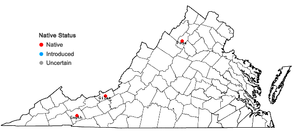 Locations ofSphenolobopsis pearsonii (Spruce) R.M. Schust. in Virginia