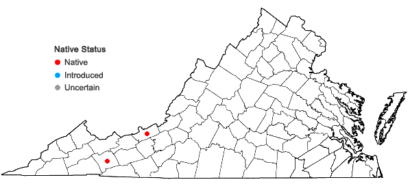 Locations ofSphenolobus minutus (Schreb.) Berggr. in Virginia