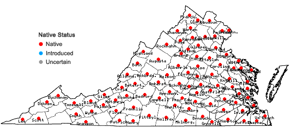 Locations ofSphenopholis nitida (Biehler) Scribn. in Virginia