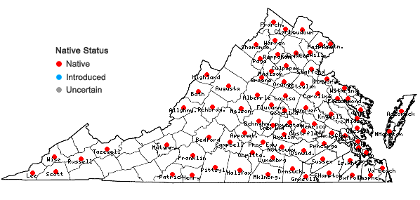Locations ofSphenopholis obtusata (Michx.) Scribn. var. obtusata in Virginia