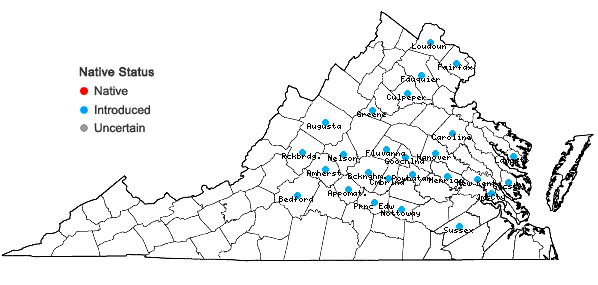 Locations ofSpiraea prunifolia Sieb. & Zucc. in Virginia
