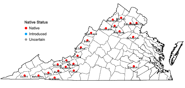 Locations ofSpiranthes ochroleuca (Rydb.) Rydb. in Virginia