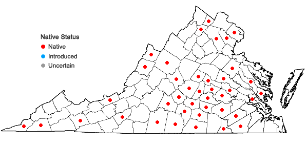 Locations ofSpiranthes ovalis Lindl. var. erostellata Catling in Virginia