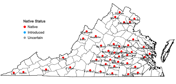 Locations ofSpiranthes ovalis Lindl. var. erostellata Catling in Virginia