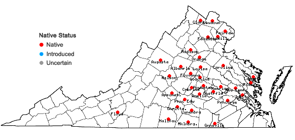 Locations ofSpiranthes tuberosa Raf. in Virginia