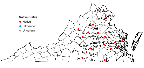 Locations ofSpiranthes tuberosa Raf. in Virginia
