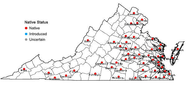 Locations ofSpiranthes vernalis Engelm. & Gray in Virginia
