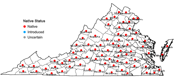 Locations ofSporobolus vaginiflorus (Torr. ex Gray) Wood in Virginia