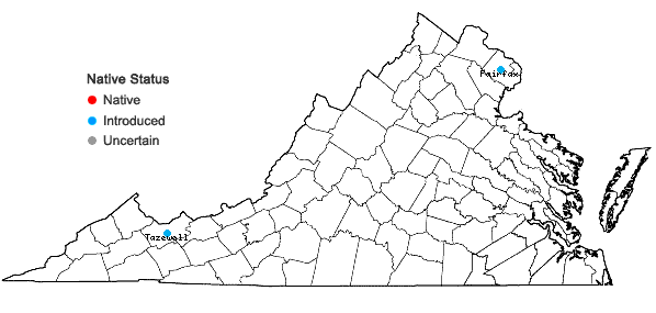 Locations ofStachys palustris L. in Virginia