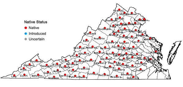 Locations ofStellaria pubera Michx. in Virginia