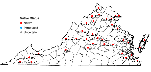 Locations ofStuckenia pectinata (L.) Borner in Virginia