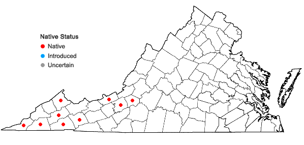 Locations ofStylophorum diphyllum (Michaux) Nuttall in Virginia