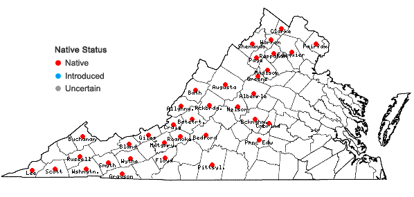 Locations ofSymphyotrichum phlogifolium (Muhl. ex Willd.) Nesom in Virginia