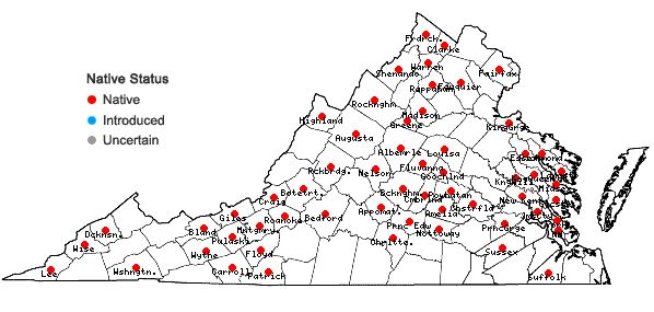 Locations ofSymphyotrichum pilosum (Willd.) Nesom var. pilosum in Virginia