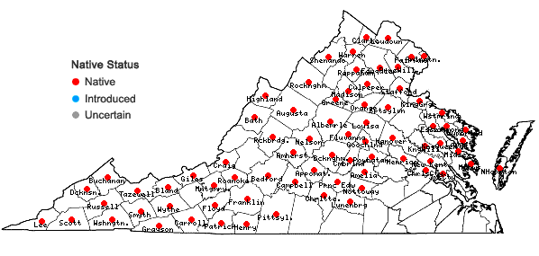 Locations ofSymphyotrichum puniceum (L.) A.& D. Love var. puniceum in Virginia