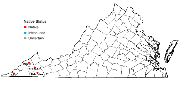 Locations ofSymphyotrichum urophyllum (Lindl.) Nesom in Virginia