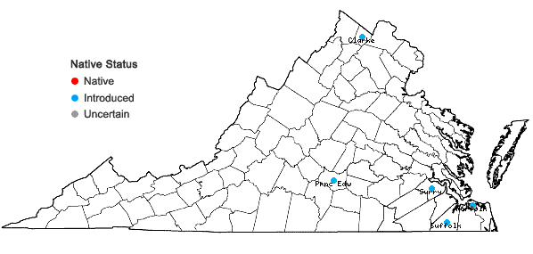 Locations ofTagetes erecta L. in Virginia
