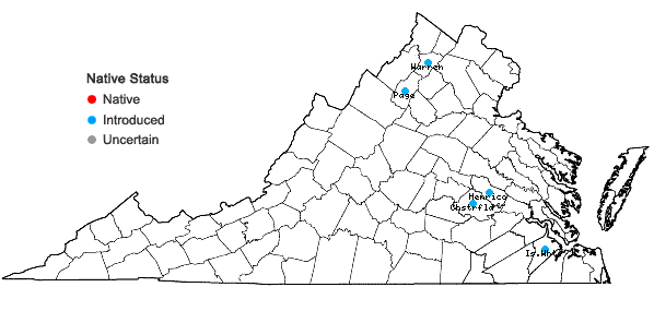 Locations ofTagetes patula L. in Virginia