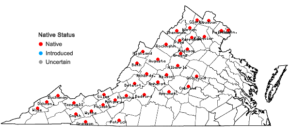 Locations ofThalictrum coriaceum (Britt.) Small in Virginia