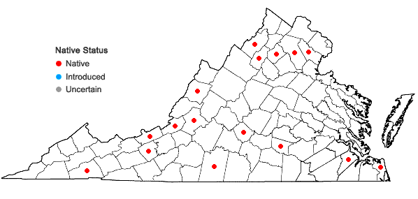 Locations ofThelia lescurii Sullivant in Virginia