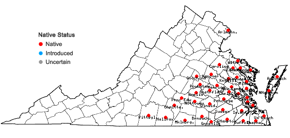 Locations ofThyrsanthella difformis (Walter) Pichon in Virginia
