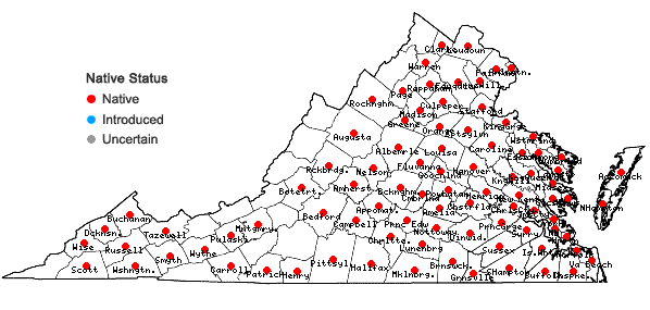 Locations ofTipularia discolor (Pursh) Nutt in Virginia