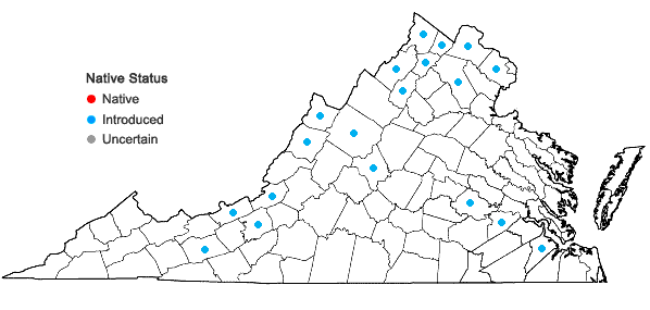 Locations ofTorilis japonica (Houtt.) DC. in Virginia
