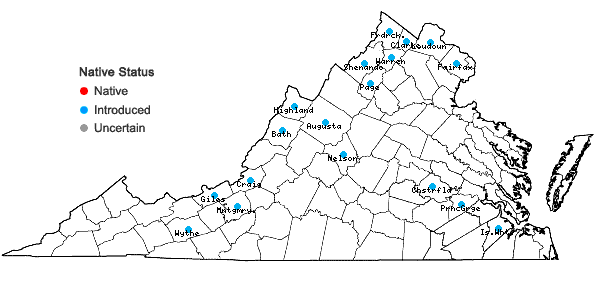 Locations ofTorilis japonica (Houtt.) DC. in Virginia