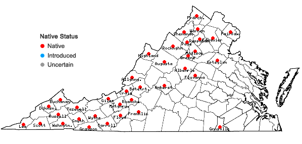 Locations ofTorrentaria riparioides (Hedw.) Ochyra in Virginia