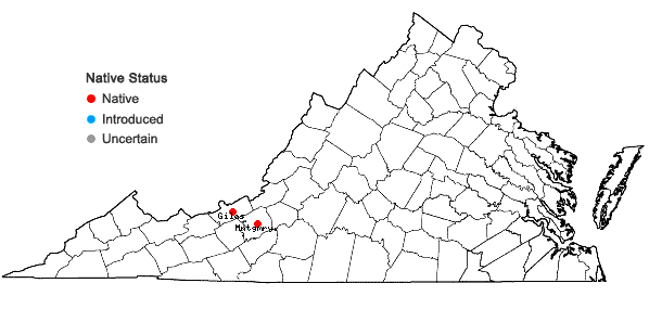 Locations ofToxicodendron radicans (L.) Kuntze var. pubens (Engelm. ex S. Wats.) Reveal in Virginia