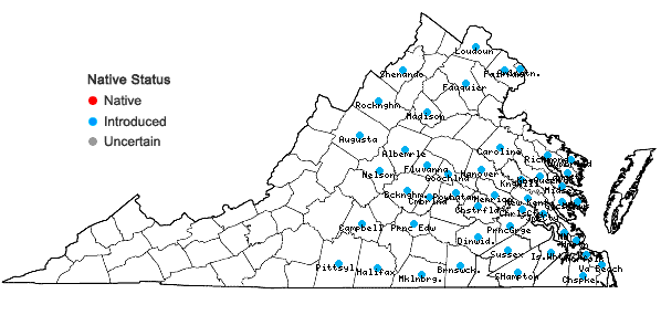 Locations ofTrifolium incarnatum L. in Virginia