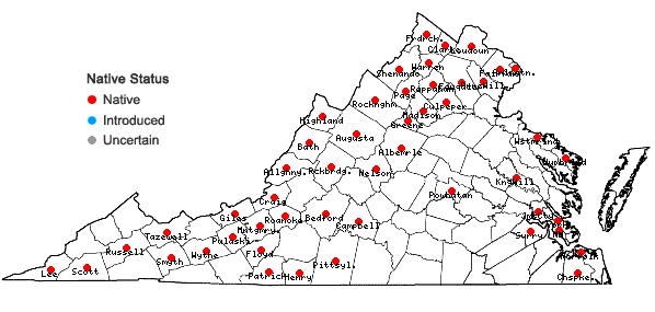 Locations ofTriosteum perfoliatum L. in Virginia