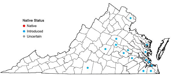 Locations ofTristagma uniflorum (Graham) Traub in Virginia