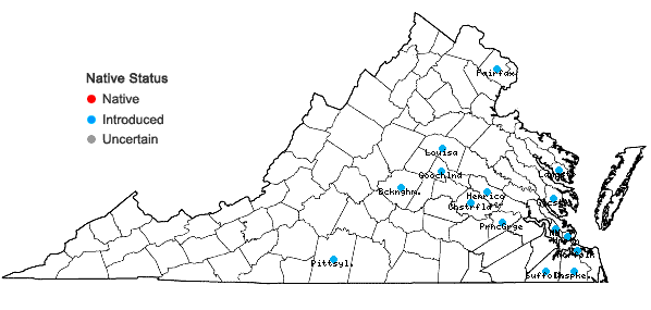 Locations ofTristagma uniflorum (Graham) Traub in Virginia