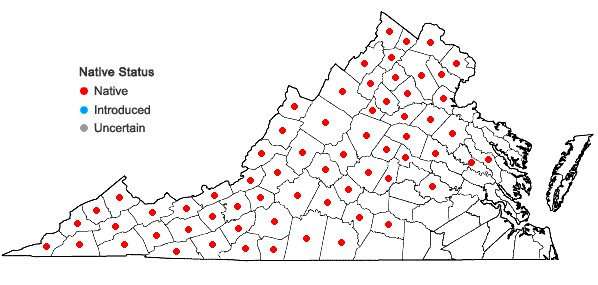 Locations ofTsuga canadensis (L.) Carriere in Virginia