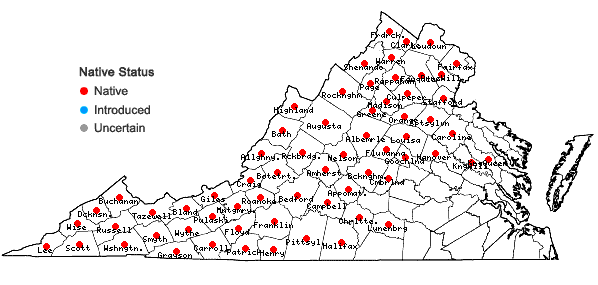 Locations ofTsuga canadensis (L.) Carriere in Virginia