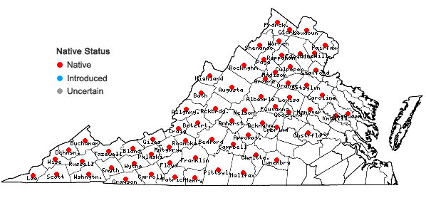 Locations ofTsuga canadensis (L.) Carriere in Virginia
