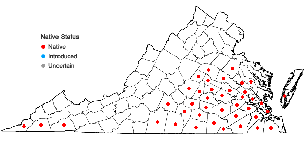 Locations ofUlmus alata Michx. in Virginia