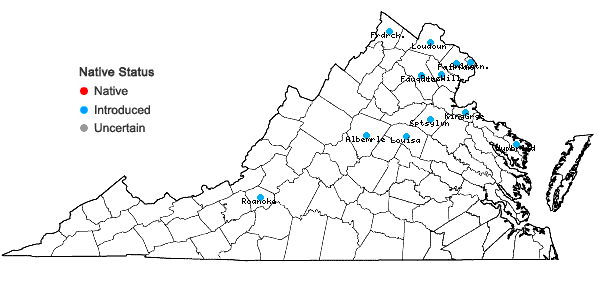 Locations ofUlmus parvifolia Jacq. in Virginia