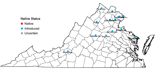Locations ofUlmus parvifolia Jacq. in Virginia