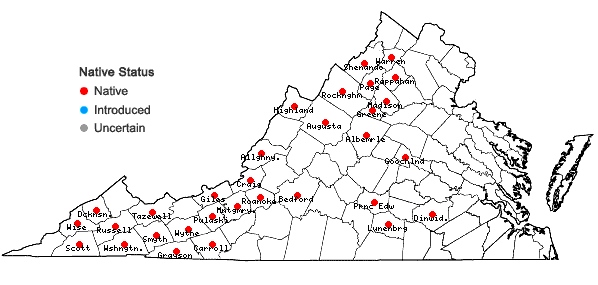 Locations ofUlota crispa (Hedw.) Brid. in Virginia