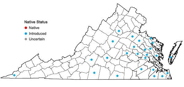 Locations ofUrochloa platyphylla (Munro ex Wright) R. Webster in Virginia
