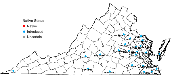 Locations ofUrochloa platyphylla (Munro ex Wright) R. Webster in Virginia