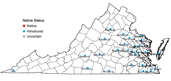 Locations ofUrochloa platyphylla (Munro ex Wright) R. Webster in Virginia