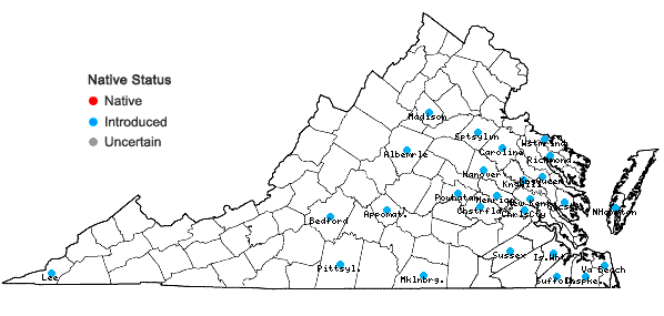 Locations ofUrochloa platyphylla (Munro ex Wright) R. Webster in Virginia