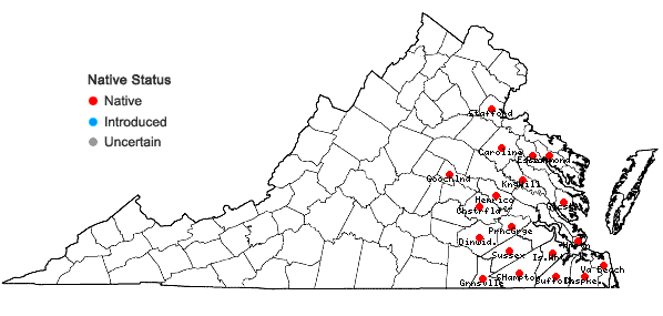 Locations ofUtricularia inflata Walt. in Virginia