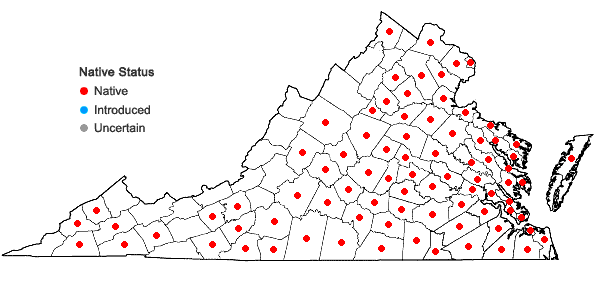 Locations ofValerianella radiata (L.) Dufr. in Virginia