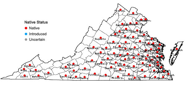 Locations ofValerianella radiata (L.) Dufr. in Virginia