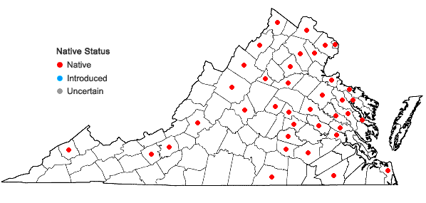 Locations ofViburnum dentatum L. in Virginia