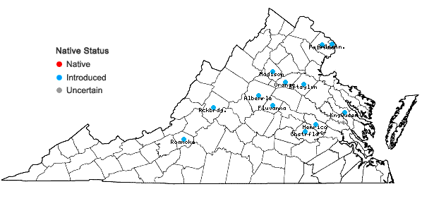 Locations ofViburnum dilatatum Thunberg in Virginia